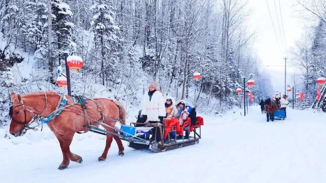 Discover Harbin: The Enchanting Ice City of China